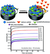 Graphical abstract: Calcium carbide in mangoes: an electrochemical way for detection