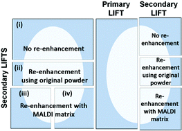 Graphical abstract: Development of operational protocols for the analysis of primary and secondary fingermark lifts by MALDI-MS imaging