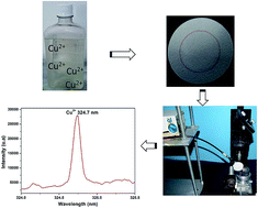 Graphical abstract: Mechanization of measurement of laser induced breakdown spectroscopy/ring-oven pre-concentration: determination of copper in cachaça