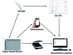 Graphical abstract: Towards low-cost bioanalytical tools for sarcosine assays for cancer diagnostics