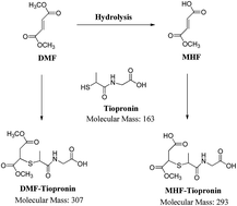 Graphical abstract: LC-MS/MS quantification of dimethyl fumarate and methyl hydrogen fumarate in rat blood using tiopronin as trapping reagent