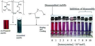 Graphical abstract: Colorimetric assay of homocysteine using gold nanoparticles conjugated with thermoresponsive copolymers