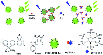 Graphical abstract: Semiconducting-polymer-dot based fluorescent probe for turn-on sensing of phytic acid