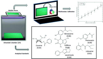 Graphical abstract: Direct quantitative analysis of cocaine by thin layer chromatography plus a mobile phone and multivariate calibration: a cost-effective and rapid method