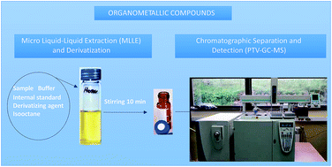 Graphical abstract: Multivariate optimization of PTV-GC-MS method for simultaneous determination of organometallic compounds of mercury, lead and tin