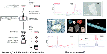 Graphical abstract: Novel method for the extraction and identification of microplastics in ocean trawl and fish gut matrices