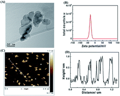 Graphical abstract: Enzyme-free fluorescent biosensor for miRNA-21 detection based on MnO2 nanosheets and catalytic hairpin assembly amplification