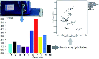 Graphical abstract: Sensor array optimization and discrimination of apple juices according to variety by an electronic nose