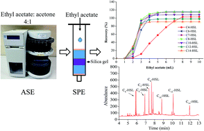 Graphical abstract: Determination of N-acyl homoserine lactones in soil using accelerated solvent extraction combined with solid-phase extraction and gas chromatography-mass spectrometry
