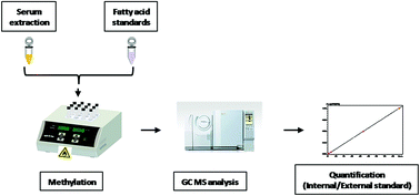 Graphical abstract: Evaluation of methylations and external/internal standard quantification of lipids using gas chromatography-mass spectrometry