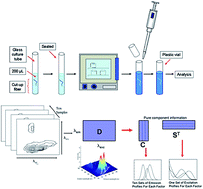 Graphical abstract: Excitation–emission matrix fluorescence spectroscopy combined with MCR-ALS as a tool for the forensic analysis of similar and dissimilar sets of textile fiber extracts