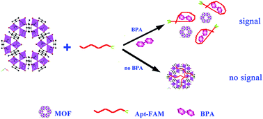 Graphical abstract: Study of the detection of bisphenol A based on a nano-sized metal–organic framework crystal and an aptamer