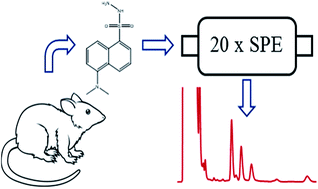Graphical abstract: Detection of reactive aldehyde biomarkers in biological samples using solid-phase extraction pre-concentration and liquid chromatography with fluorescence detection