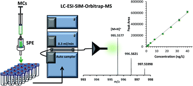 Graphical abstract: Improved solid-phase extraction protocol and sensitive quantification of six microcystins in water using an HPLC-orbitrap mass spectrometry system