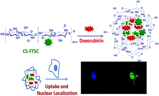 Graphical abstract: Chondroitin sulfate derived theranostic nanoparticles for targeted drug delivery