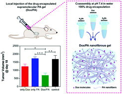 Graphical abstract: Local delivery of doxorubicin through supramolecular peptide amphiphile nanofiber gels