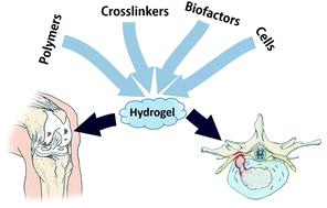 Graphical abstract: Hydrogel based cartilaginous tissue regeneration: recent insights and technologies