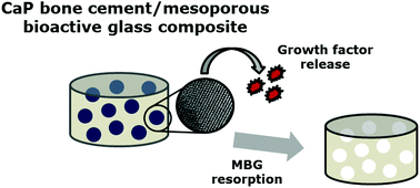 Graphical abstract: Calcium phosphate bone cement/mesoporous bioactive glass composites for controlled growth factor delivery