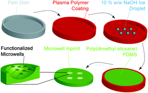 Graphical abstract: Rapid fabrication of functionalised poly(dimethylsiloxane) microwells for cell aggregate formation