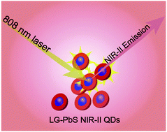 Graphical abstract: Direct water-phase synthesis of lead sulfide quantum dots encapsulated by β-lactoglobulin for in vivo second near infrared window imaging with reduced toxicity