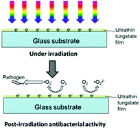 Graphical abstract: Constructing ultrathin film with “memory” photocatalytic activity from monolayered tungstate nanodots
