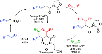Graphical abstract: The Evans Aldol–Prins cyclization: a general and stereoselective method for the synthesis of 2,3,4,5,6-pentasubstituted tetrahydropyrans