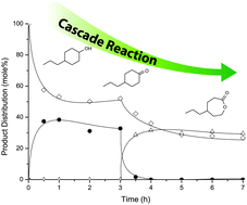 Graphical abstract: Snβ-zeolite catalyzed oxido-reduction cascade chemistry with biomass-derived molecules
