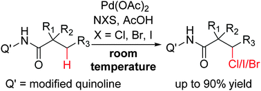Graphical abstract: Auxiliary-assisted palladium-catalyzed halogenation of unactivated C(sp3)–H bonds at room temperature