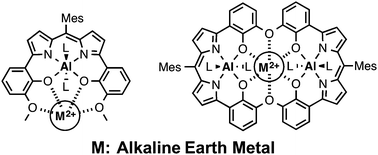 Graphical abstract: Synthesis of a new family of ionophores based on aluminum–dipyrrin complexes (ALDIPYs) and their strong recognition of alkaline earth ions