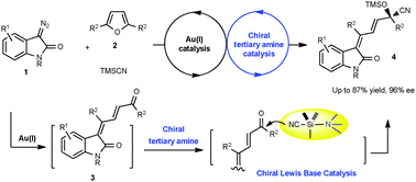 Graphical abstract: Asymmetric sequential Au(i)/chiral tertiary amine catalysis: an enone-formation/cyanosilylation sequence to synthesize optically active 3-alkenyloxindoles from diazooxindoles