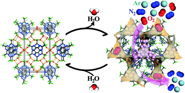 Graphical abstract: High-symmetry hydrogen-bonded organic frameworks: air separation and crystal-to-crystal structural transformation
