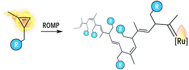 Graphical abstract: Ring-opening metathesis polymerization of 1,2-disubstituted cyclopropenes
