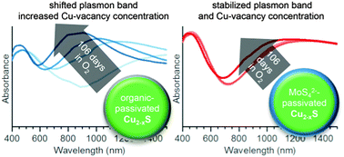 Graphical abstract: Stabilization of plasmon resonance in Cu2−xS semiconductor nanoparticles