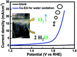 Graphical abstract: In situ generated highly active copper oxide catalysts for the oxygen evolution reaction at low overpotential in alkaline solutions