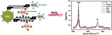 Graphical abstract: Accurate and sensitive total genomic DNA methylation analysis from sub-nanogram input with embedded SERS nanotags