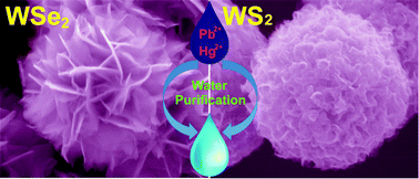 Graphical abstract: Flowerlike WSe2 and WS2 microspheres: one-pot synthesis, formation mechanism and application in heavy metal ion sequestration