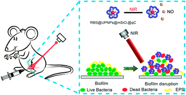 Graphical abstract: Synergistic eradication of antibiotic-resistant bacteria based biofilms in vivo using a NIR-sensitive nanoplatform