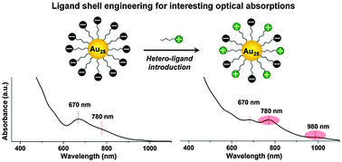Graphical abstract: Insights into the effect of surface ligands on the optical properties of thiolated Au25 nanoclusters