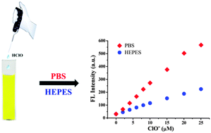 Graphical abstract: HEPES is not suitable for fluorescence detection of HClO: a novel probe for HClO in absolute PBS
