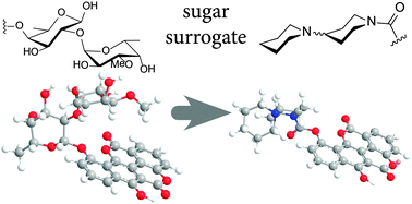 Graphical abstract: Bipiperidine conjugates as soluble sugar surrogates in DNA-intercalating antiproliferative polyketides