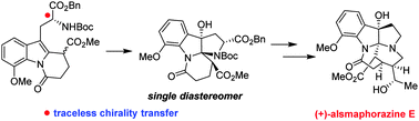 Graphical abstract: Enantioselective total synthesis and structural reassignment of (+)-alsmaphorazine E via a traceless chirality transfer strategy