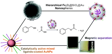 Graphical abstract: A silica-based magnetic platform decorated with mixed ligand gold nanoparticles: a recyclable catalyst for esterification reactions