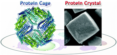 Graphical abstract: Design of a confined environment using protein cages and crystals for the development of biohybrid materials