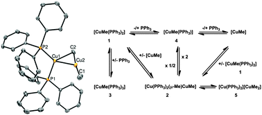 Graphical abstract: An unexpected transmetalation intermediate: isolation and structural characterization of a solely CH3 bridged di-copper(i) complex