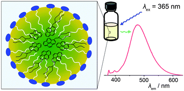 Graphical abstract: Fluorescent liquid pyrene derivative-in-water microemulsions