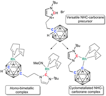 Graphical abstract: Tethered N-heterocyclic carbene–carboranes: unique ligands that exhibit unprecedented and versatile coordination modes at rhodium