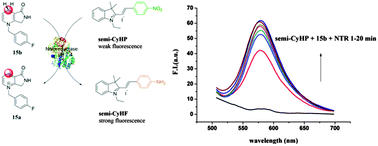 Graphical abstract: New artificial fluoro-cofactor of hydride transfer with novel fluorescence assay for redox biocatalysis