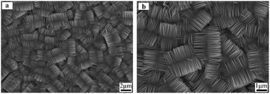 Graphical abstract: Hydrothermal synthesis of a 3D double-sided comb-like ZnO nanostructure and its growth mechanism analysis