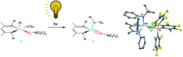 Graphical abstract: Photo-activation of d0 niobium imido azides: en route to nitrido complexes