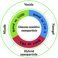 Graphical abstract: Glucose-sensitive polymer nanoparticles for self-regulated drug delivery